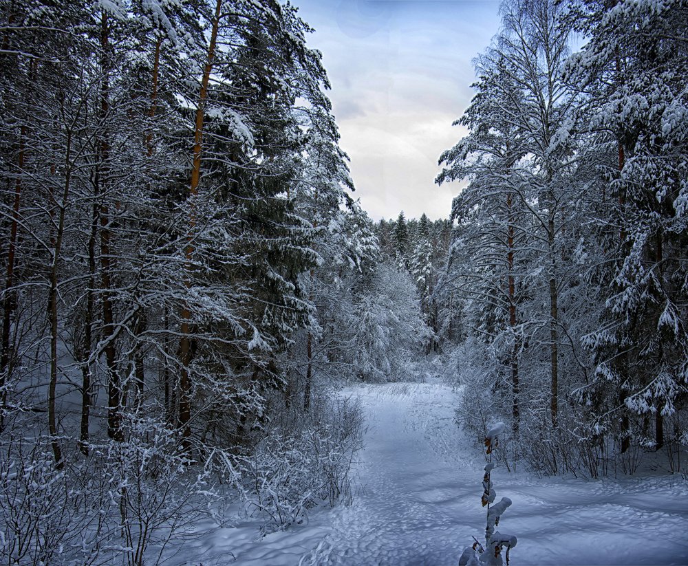 Photograph by Marina Lucenko