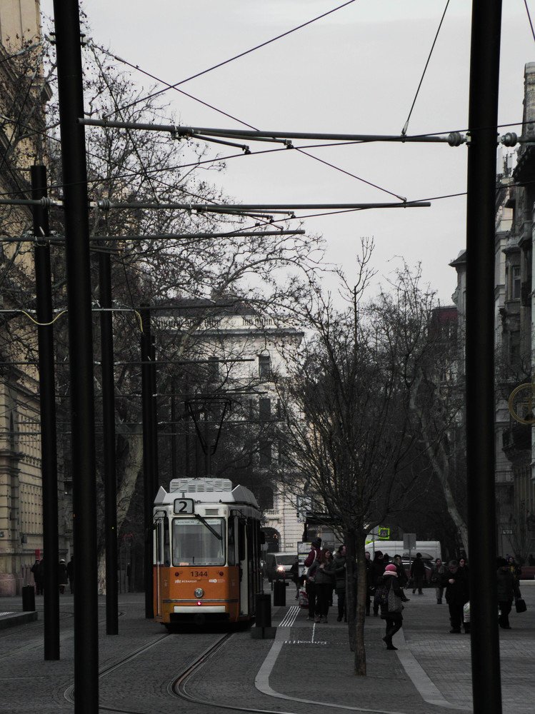 Photograph by Matei Mardare