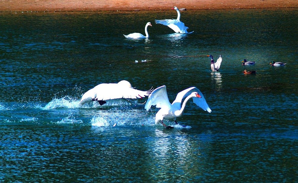 Photograph by Сергей Брохоцкий