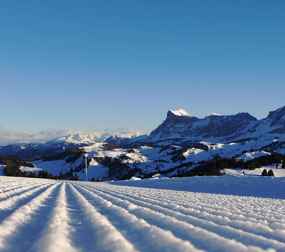 Photograph by Полина Карпова