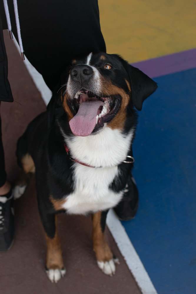 Photograph by Дарья Зайцева