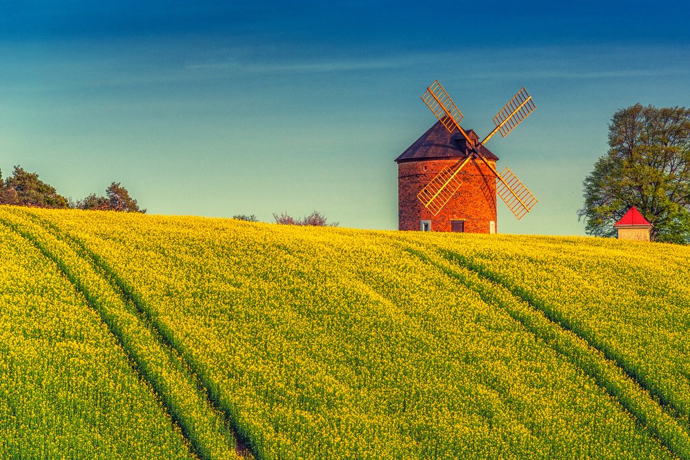 Photograph by Dariusz Budyta