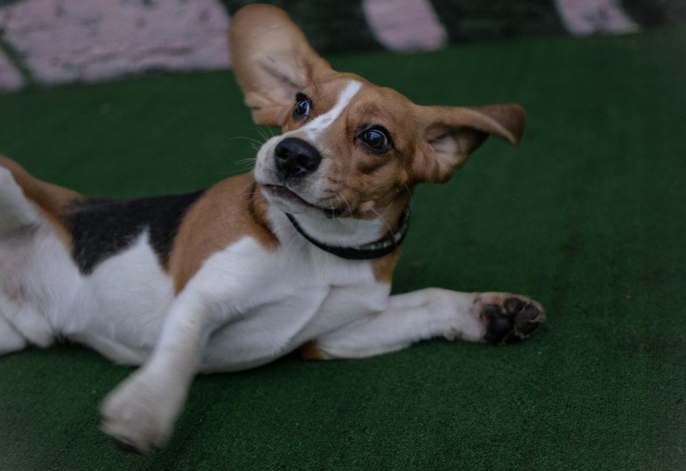 Photograph by Дарья Зайцева