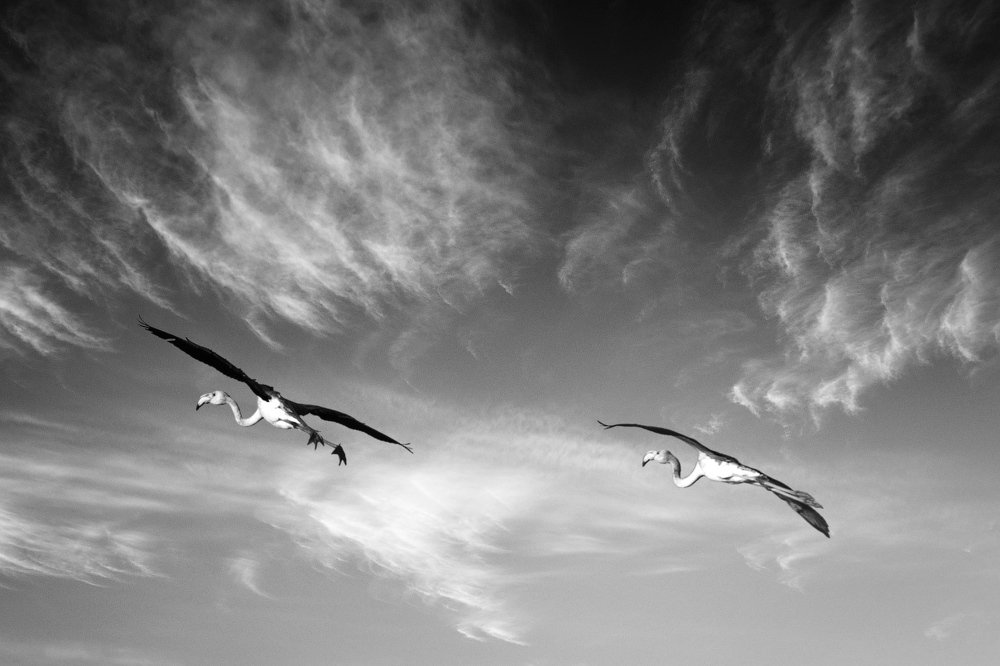 Photograph by Людмила Сиденко