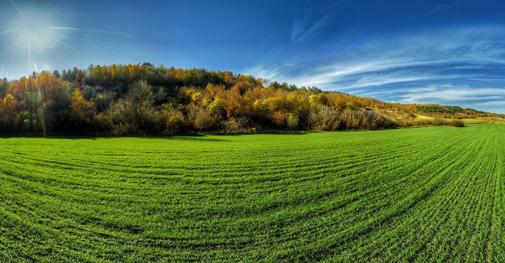 Photograph by Сергей Лазуткин