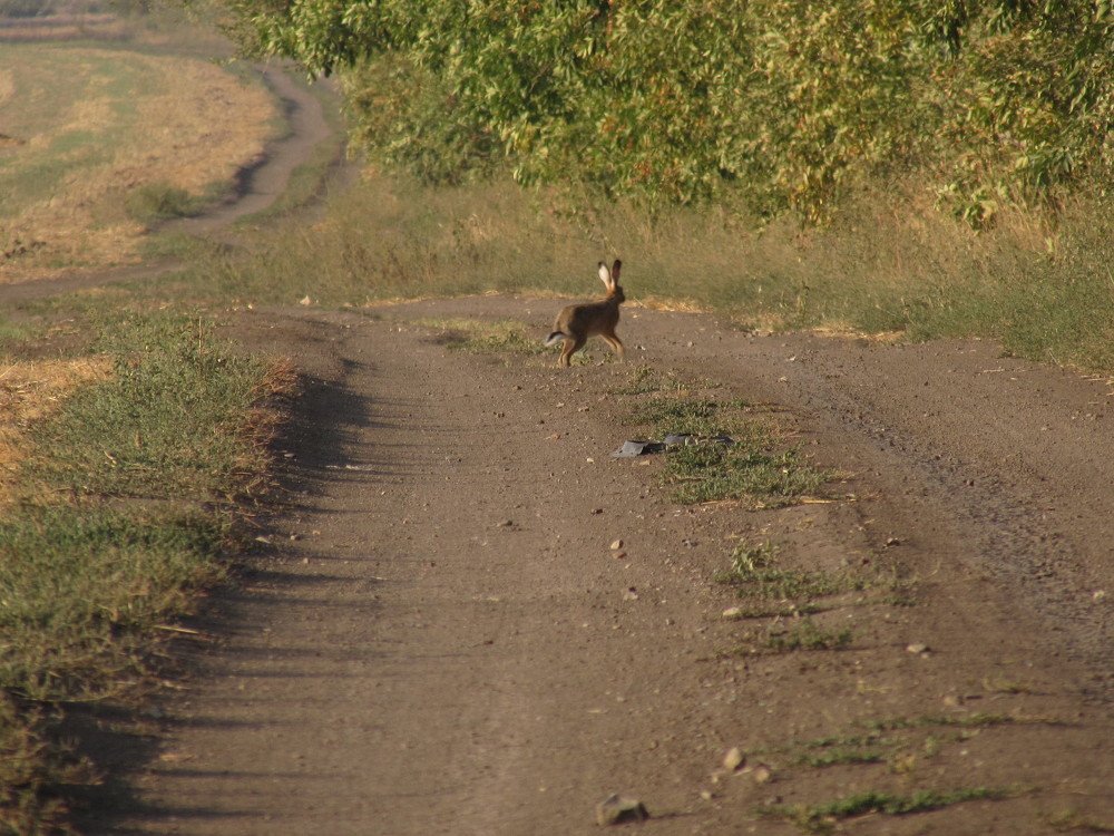 Photograph by Елена Кузнецова