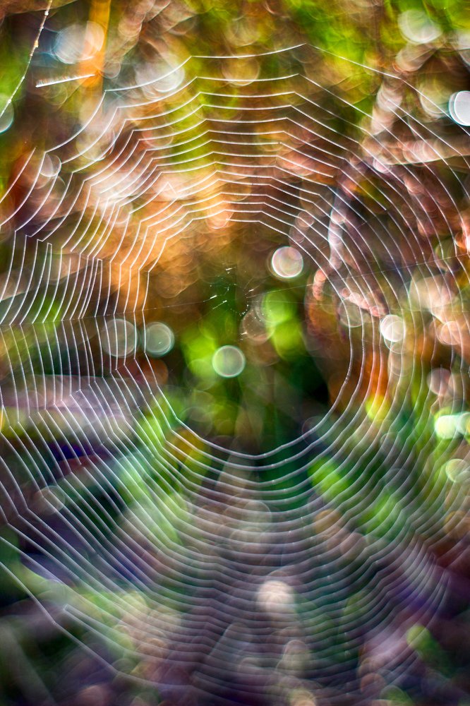 Photograph by Anna Suchcicka