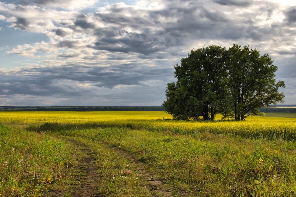 Photograph by Марина Рожкова