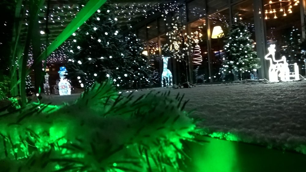 Photo #4148178