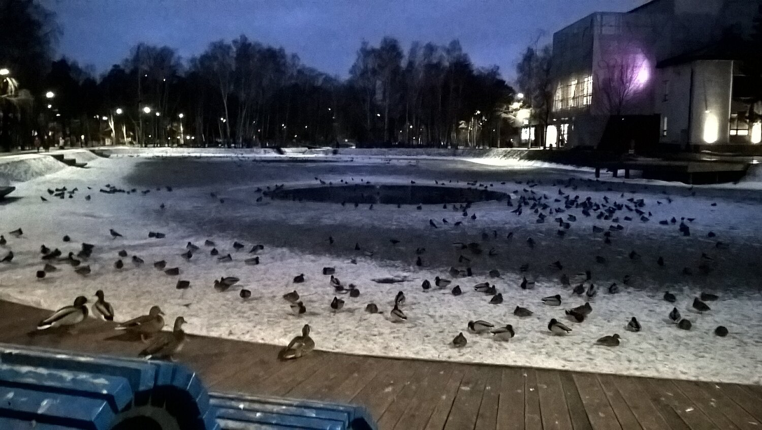 Photo #4148190