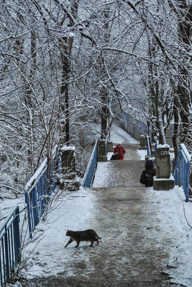 Photograph by Наталья