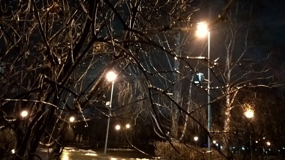 Photo #4148273