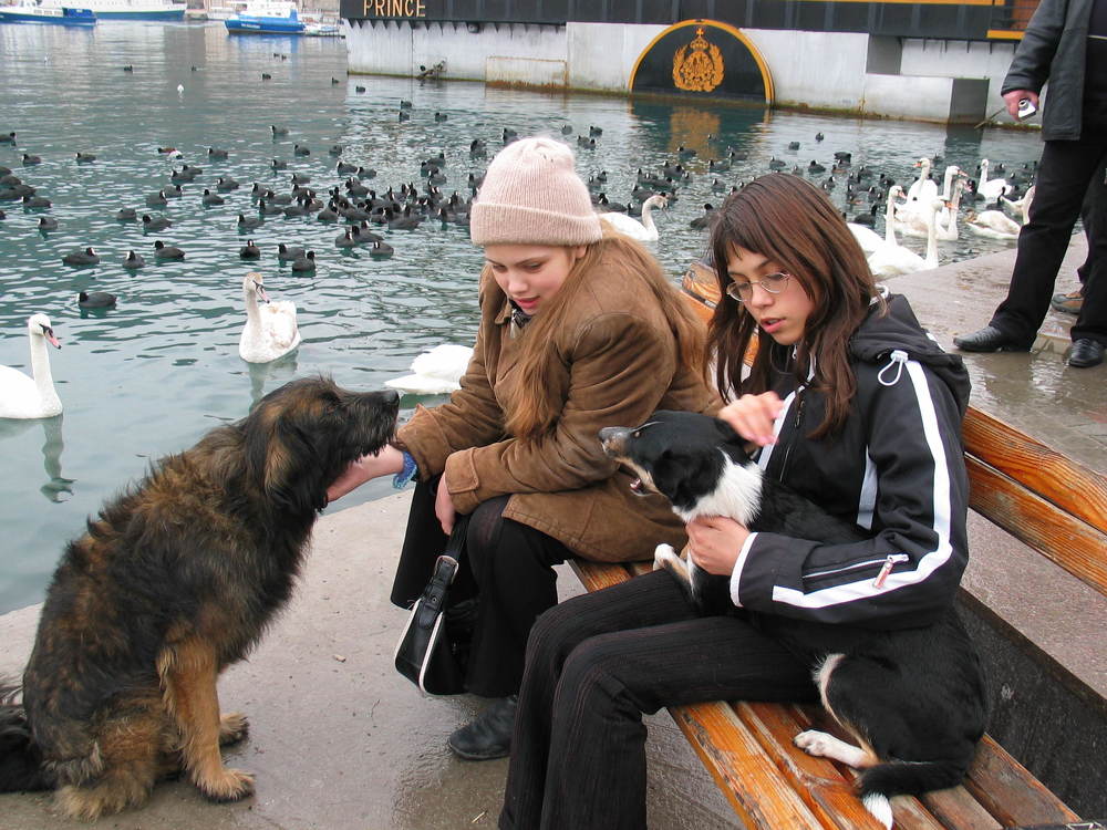 Бухта в Балаклаве Украина