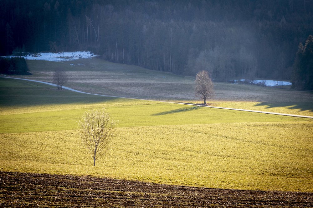 Photograph by Наталья Ростовская