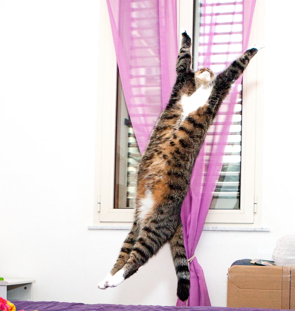 Photograph by Валентин