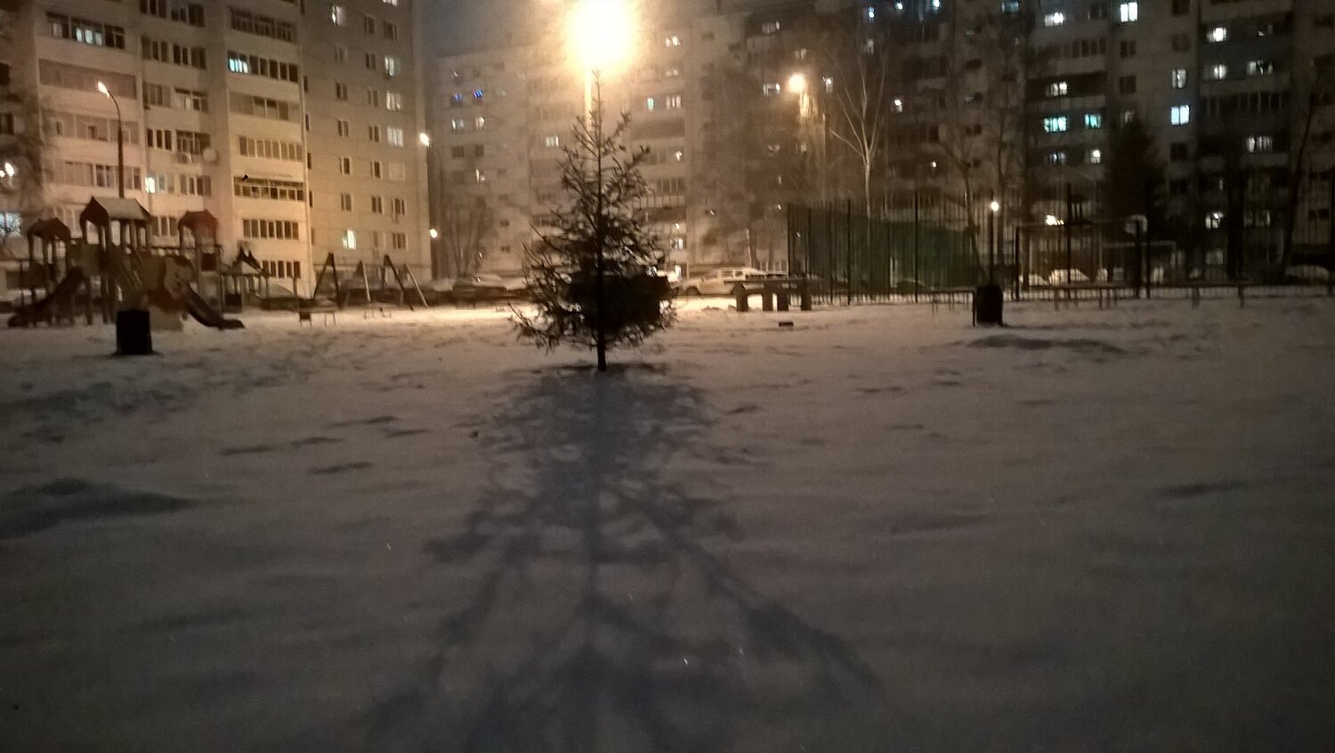 Photo #4148401
