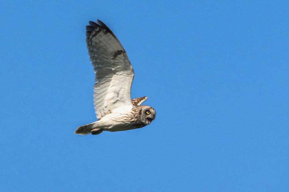 Я страшен в гневе!