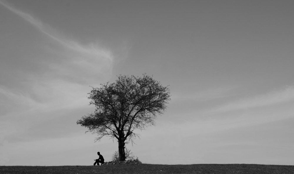 Photograph by Fereydoon ranjkesh