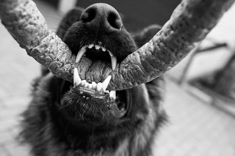 Photograph by Александр Кобелюк