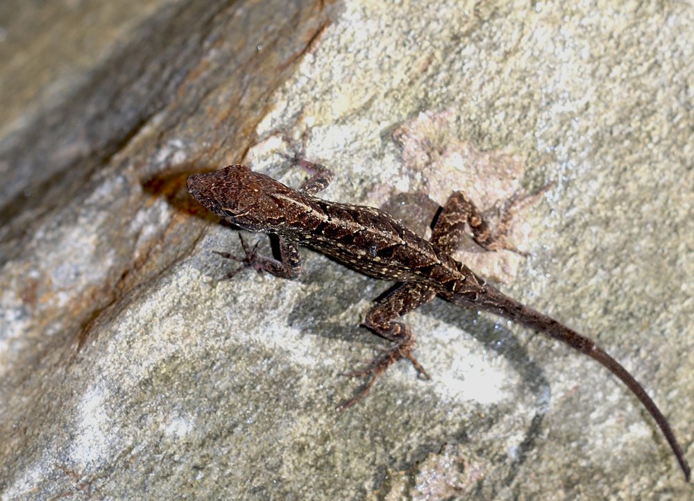 Photograph by ЗОЯ МЕДВЕДЕВА