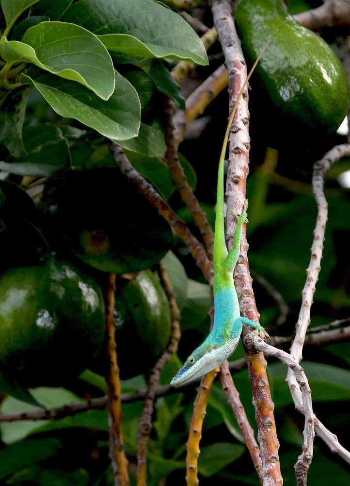 Photograph by ЗОЯ МЕДВЕДЕВА