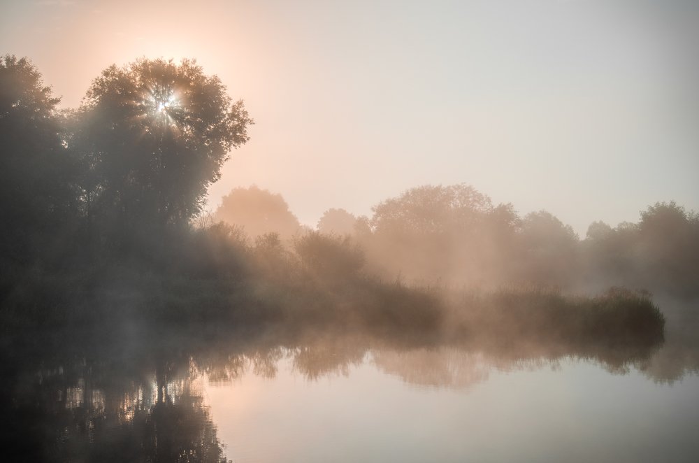 Photograph by Никита Богомолов