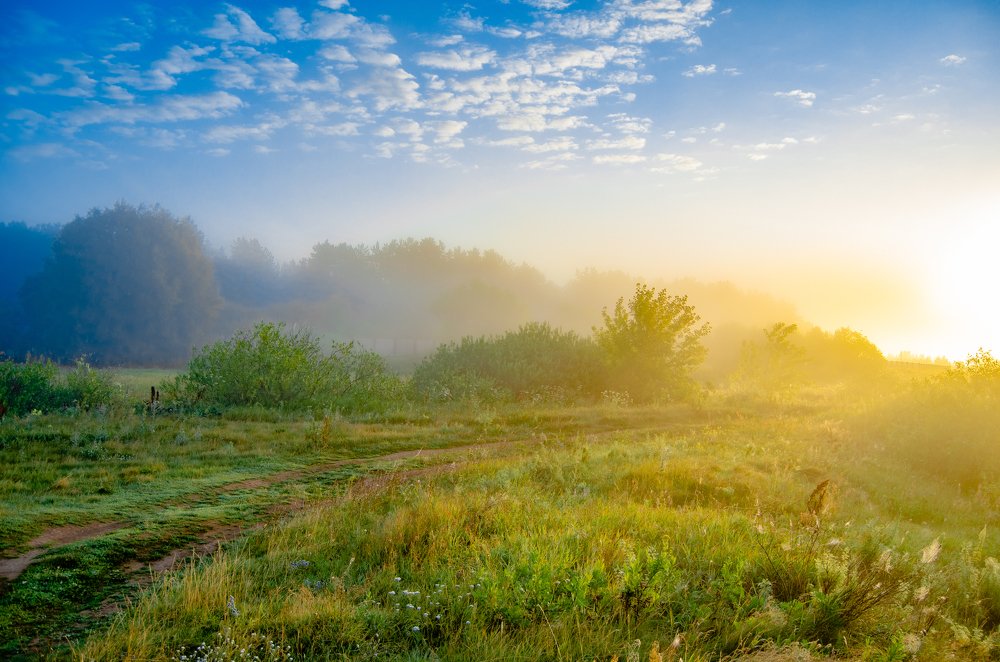 Photograph by Никита Богомолов