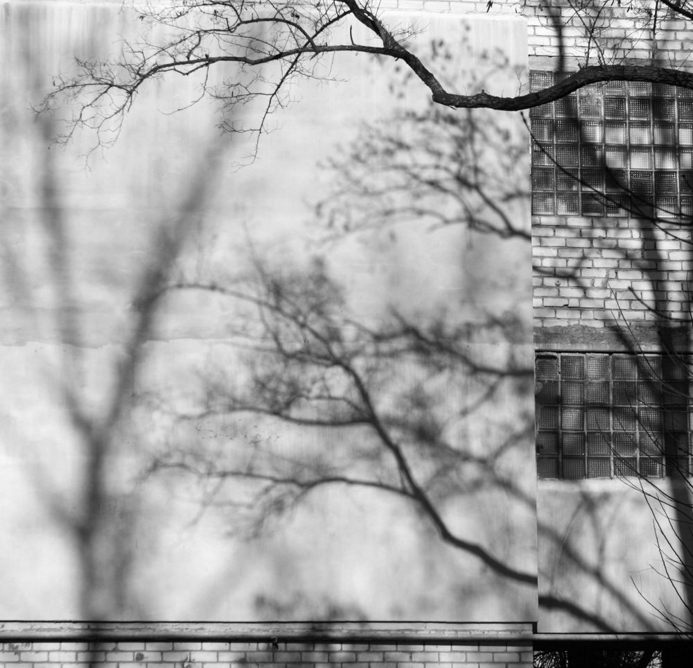 Photograph by Дмитрий Сырбу