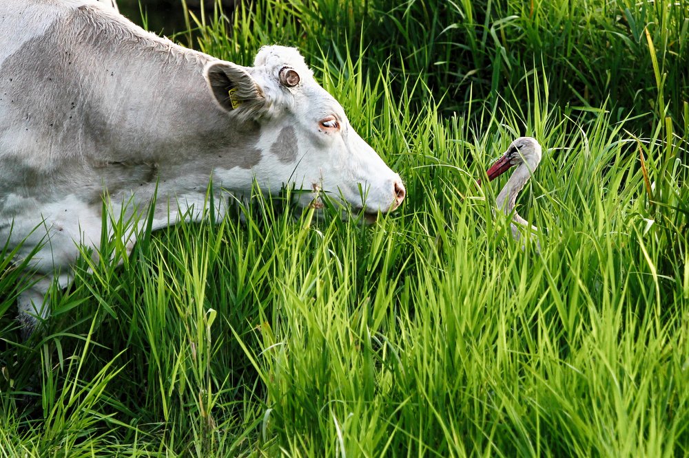 Photograph by Anna Suchcicka