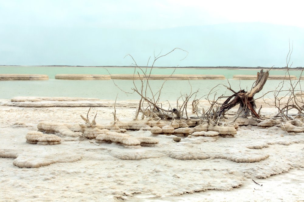 Photograph by Bella Grace