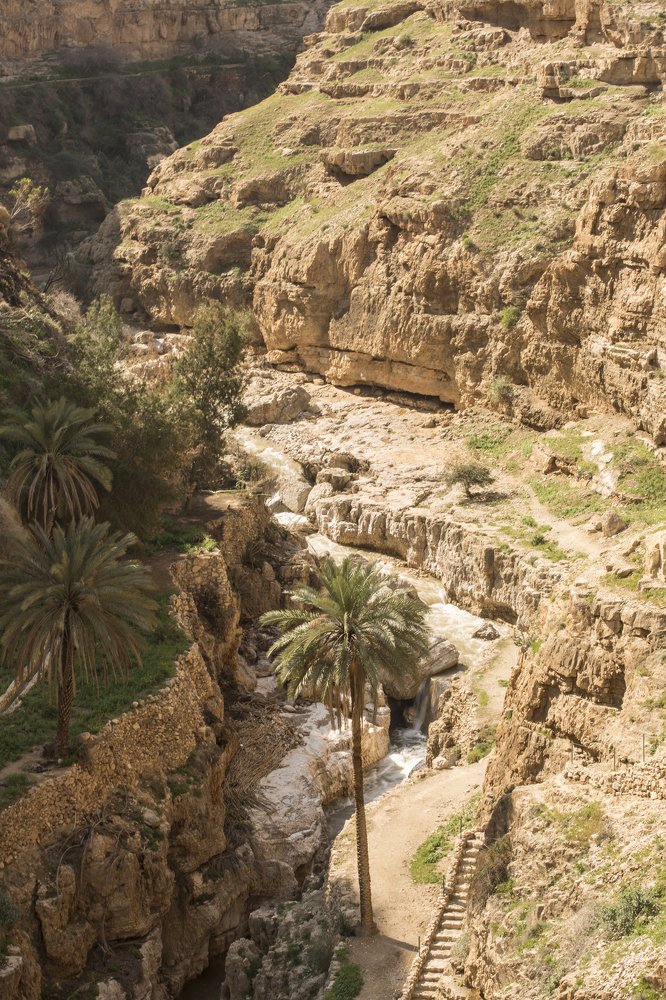 Photograph by Bella Grace