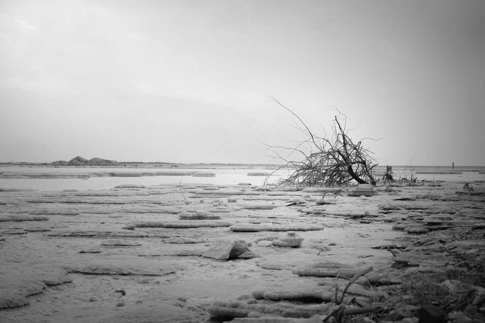 Photograph by Bella Grace