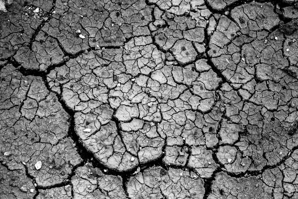 Photograph by Bella Grace