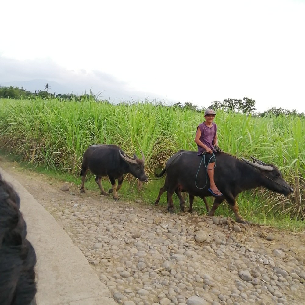 Farmers, the source of our life