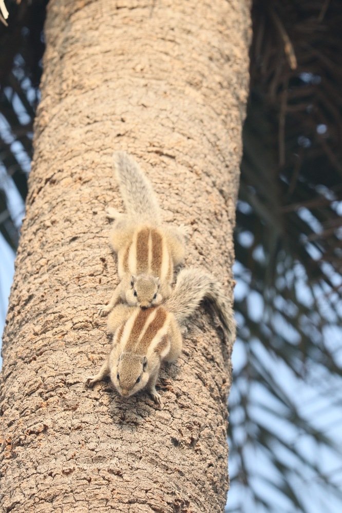 Photograph by Sumit Singh