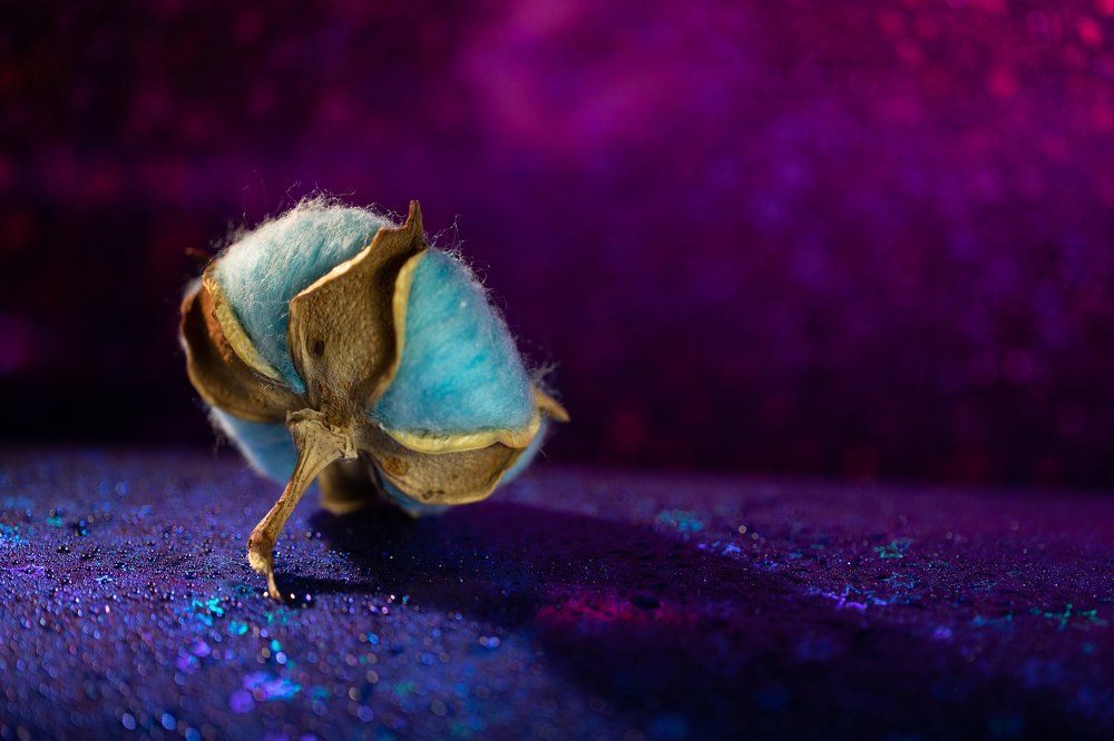 Photograph by Сергей Романченко