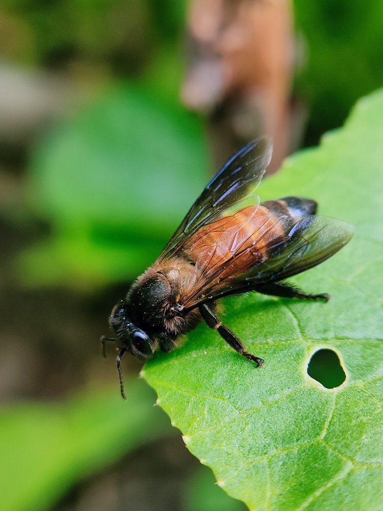 Photograph by Saurav Gupta