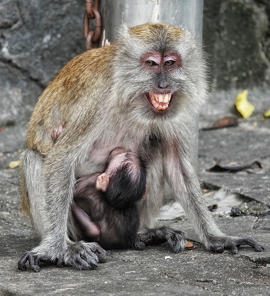 Don't even think about getting closer