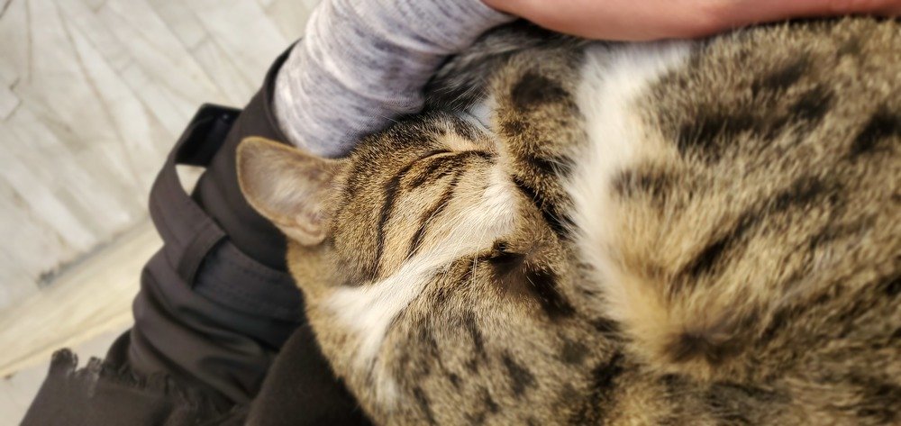 Photo #4149472