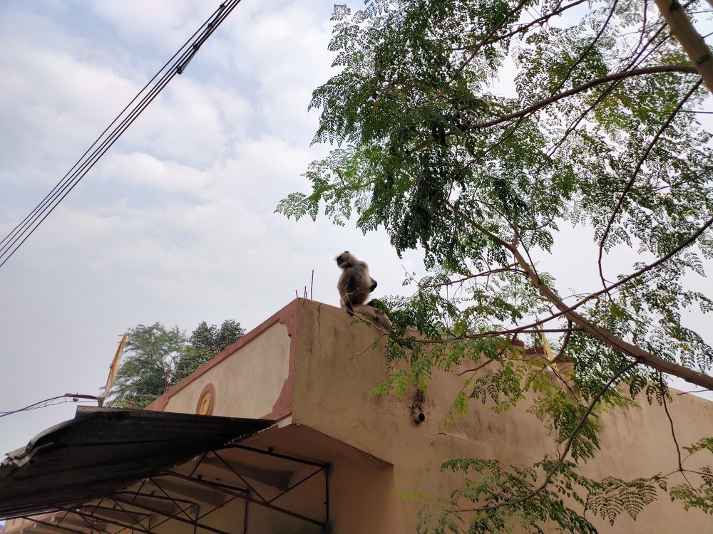 Photograph by Saurav Gupta