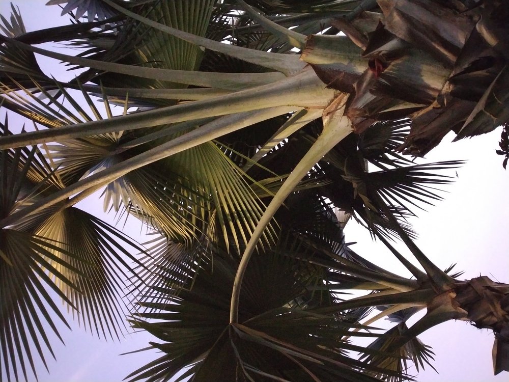 Photograph by Shashank Kesarwani