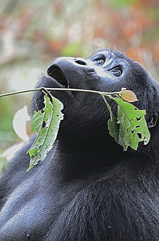 Photograph by Алексей Романов