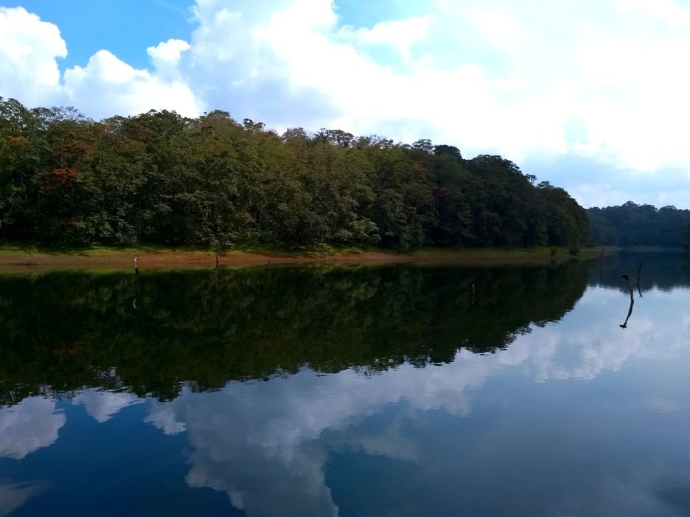 Reflections.