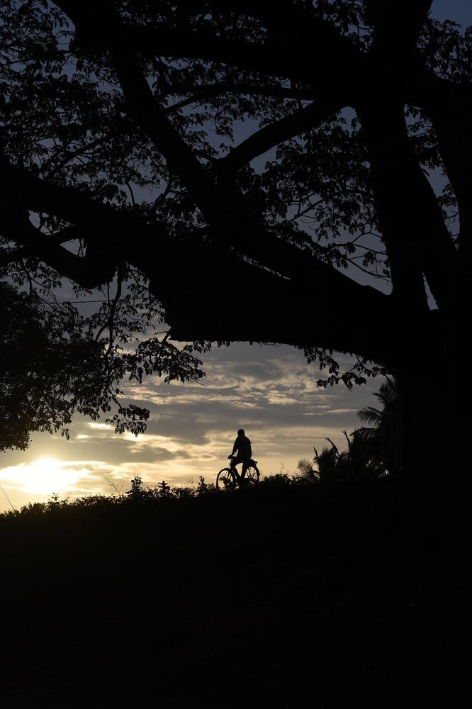 Photograph by GURURAJ KYATHANAHALLY