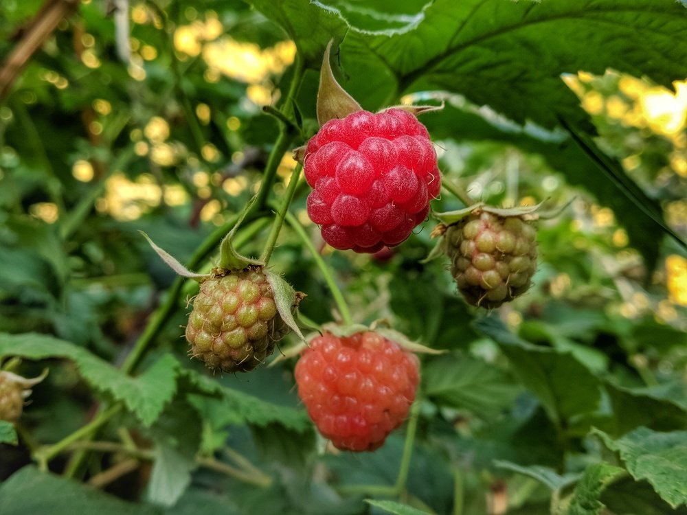 Photograph by Наиль Шакиров