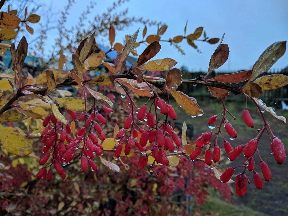 Photograph by Наиль Шакиров