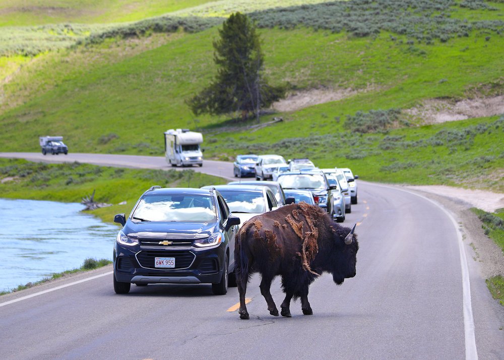 Photograph by Lana Anferow