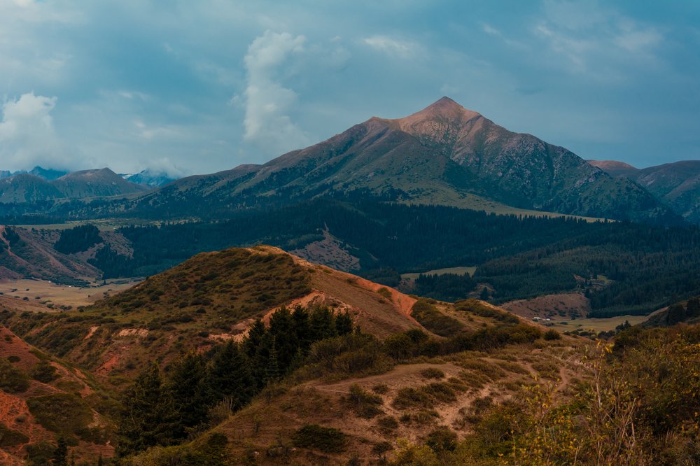 Photograph by Юлия Подлеснова