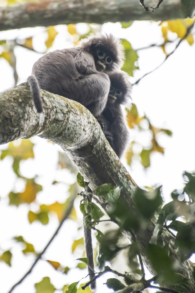 Photograph by Hashin Reza