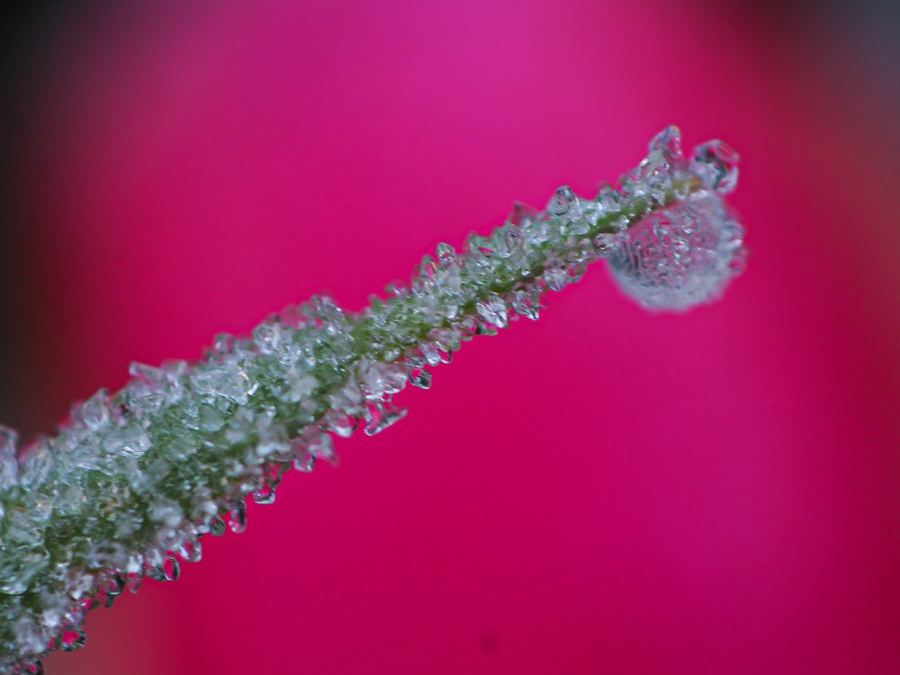 Photograph by Наталья